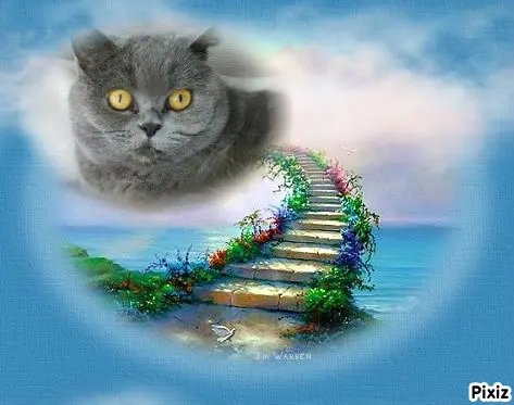 Andachtsbild von Tanja mit Timmy im Herzen 