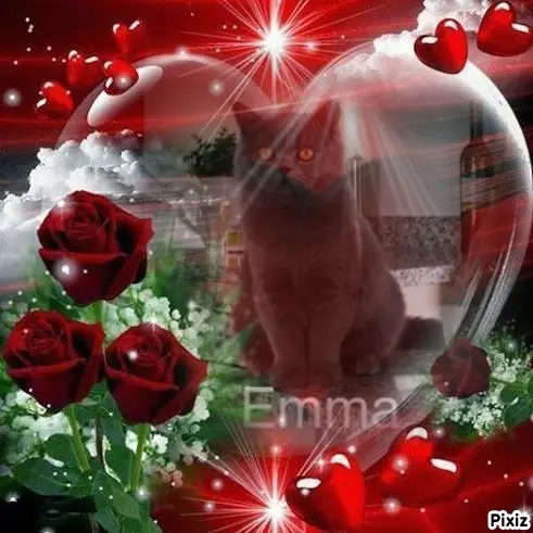 Andachtsbild von Für die kleine Emma❤️