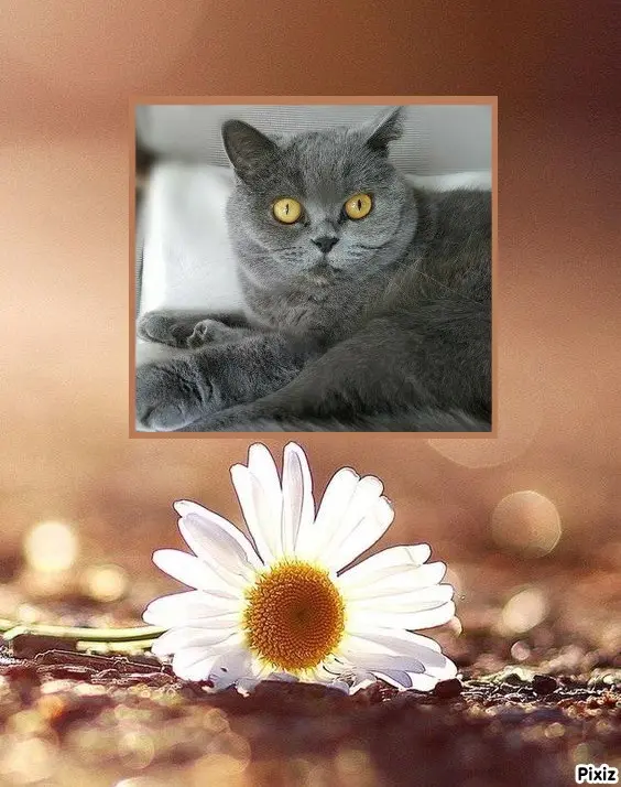 Andachtsbild von Tanja mit Timmy im Herzen 