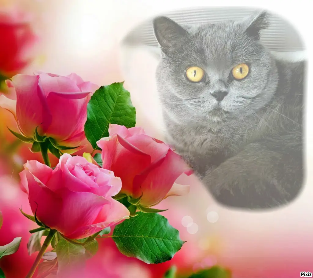 Andachtsbild von Tanja mit Timmy im Herzen 