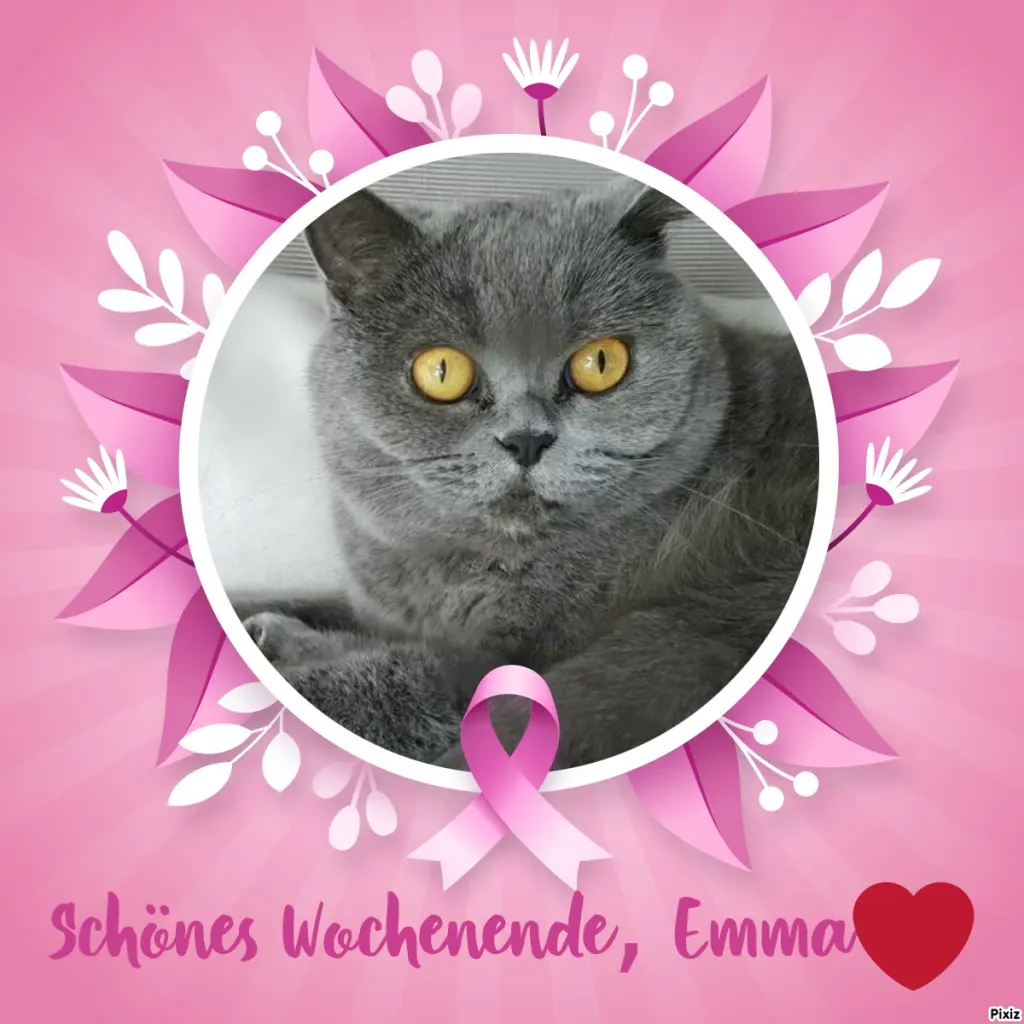 Andachtsbild von Tanja mit Timmy im Herzen 