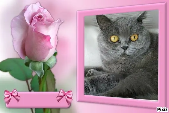 Andachtsbild von Tanja mit Timmy im Herzen 