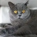 Andachtsbild von Elisabeth mit Marple im ♥