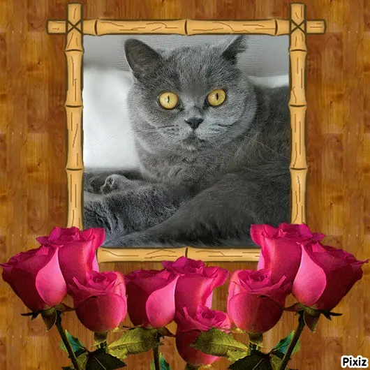 Andachtsbild von Tanja mit Timmy im Herzen 