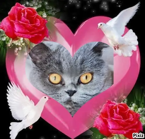 Andachtsbild von Für das kleine Engelchen Emma ♥️