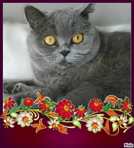 Andachtsbild von Tanja mit Timmy im Herzen 