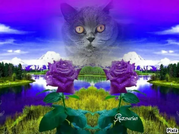 Andachtsbild von Tanja mit Timmy im Herzen 