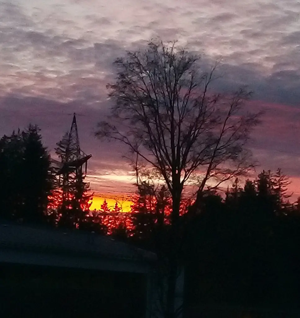 Andachtsbild von Elisabeth mit Marple im ♥