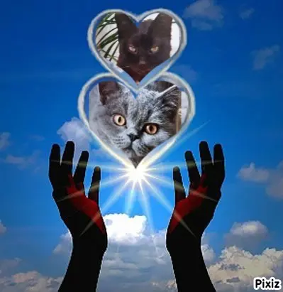 Andachtsbild von Für das kleine Sternchen Emma ♥️