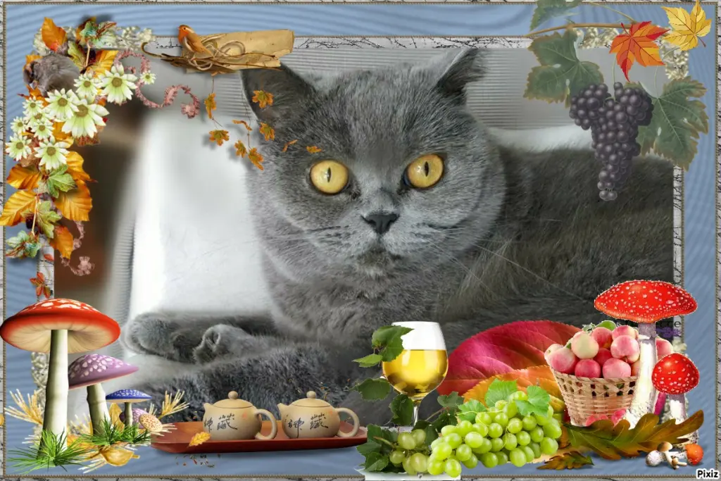 Andachtsbild von Tanja mit Timmy im Herzen 