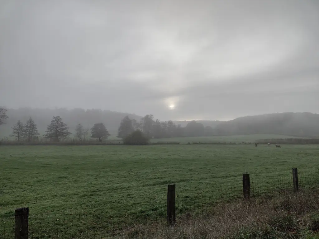 Andachtsbild von Corinna mit Emma, Pummelchen und anderen Sternleine im Herzen