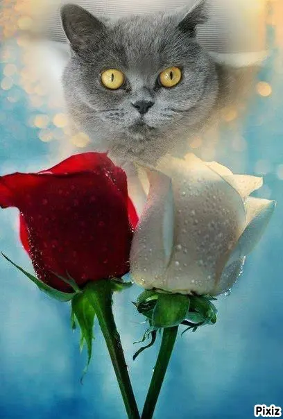 Andachtsbild von Tanja mit Timmy im Herzen 