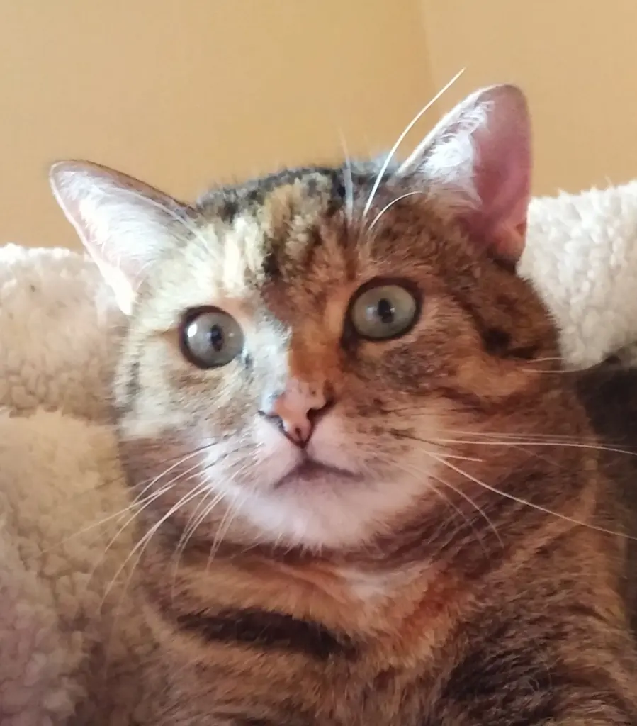 Andachtsbild von Pauline an Emma ❤️