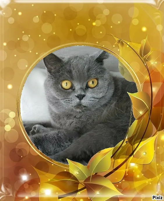 Andachtsbild von Tanja mit Timmy im Herzen 