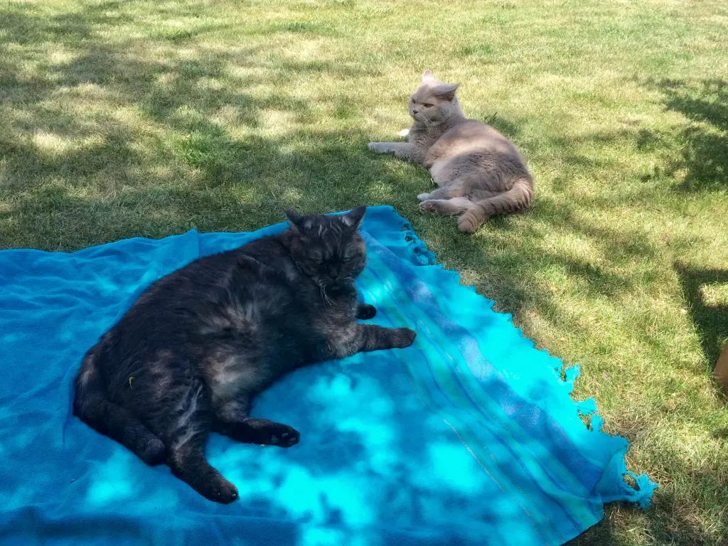 Andachtsbild von Kristina 