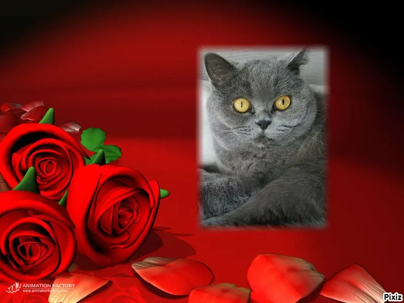 Andachtsbild von Tanja mit Timmy im Herzen 