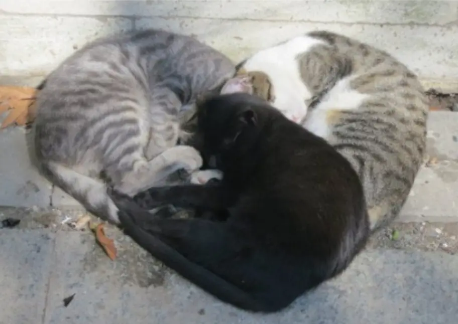 Andachtsbild von Daniela mit Pauline im ♥️ (+27.05.2021)