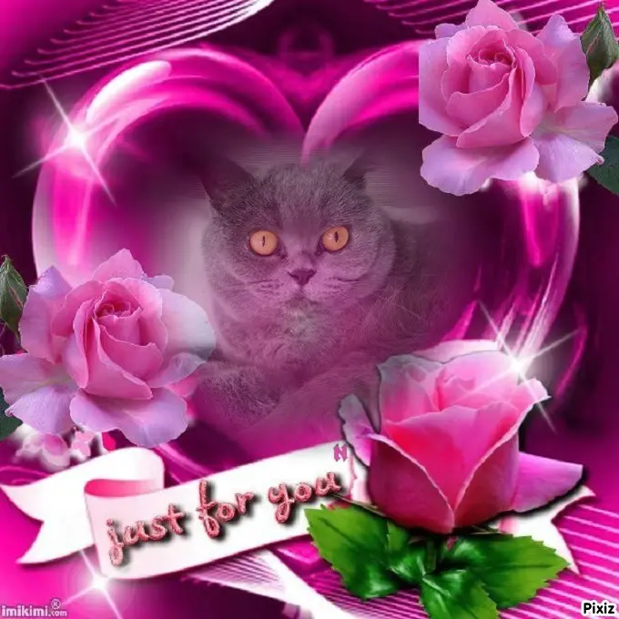 Andachtsbild von Tanja mit Timmy im Herzen 