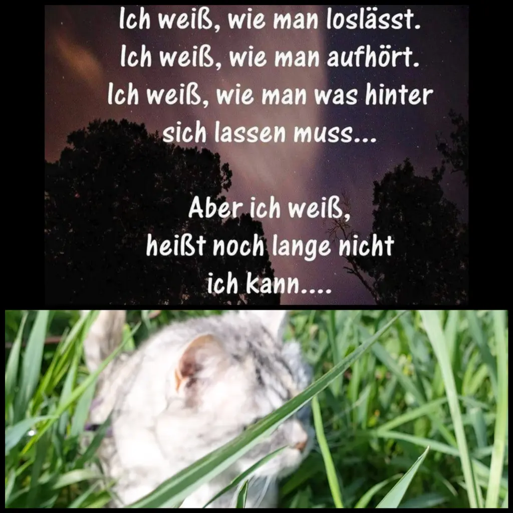 Andachtsbild von Für Emma♥️und Sonja 