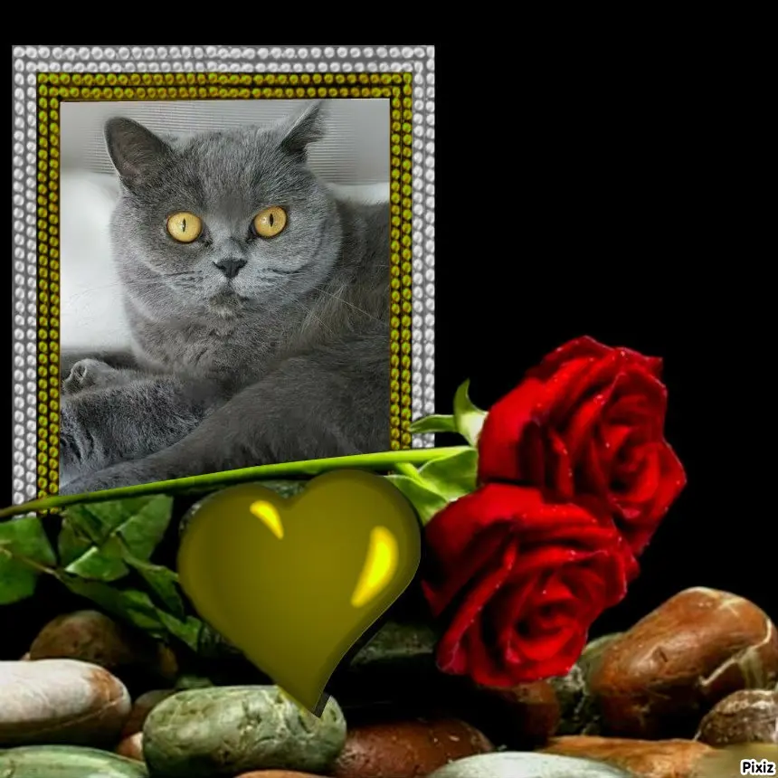 Andachtsbild von Tanja mit Timmy im Herzen 