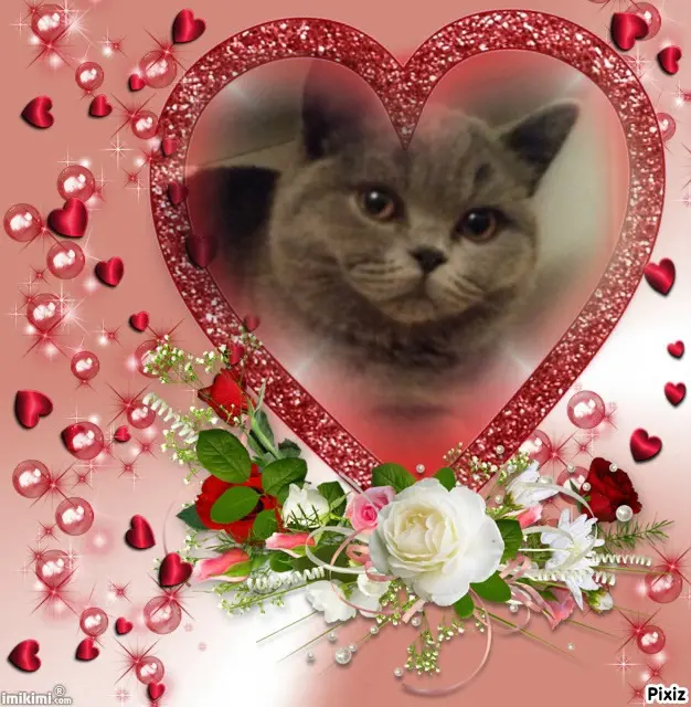 Andachtsbild von Für Dich kleines Sternchen Emma♥️