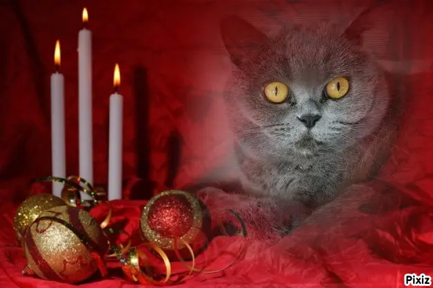 Andachtsbild von Tanja mit Timmy im Herzen 