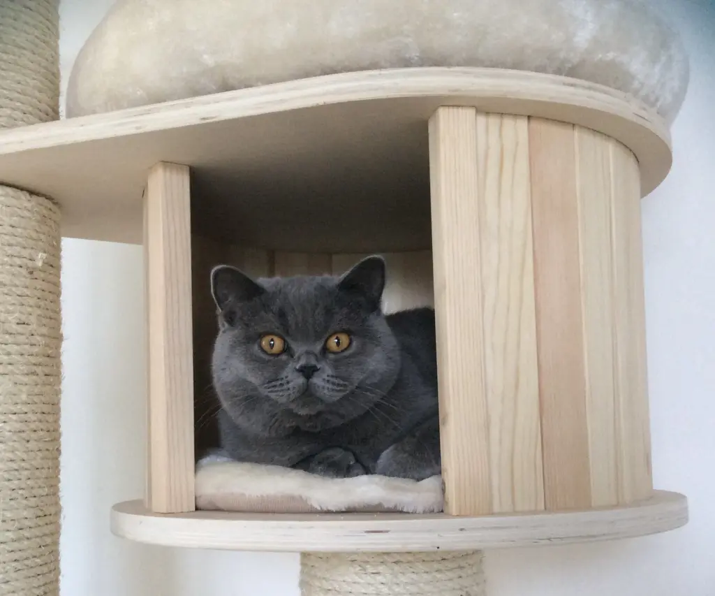 Andachtsbild von Mama an Emmi