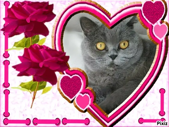 Andachtsbild von Tanja mit Timmy im Herzen 