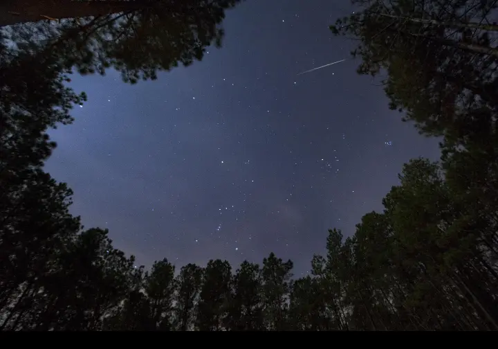 Andachtsbild von Corinna mit Emma, Pummelchen und anderen Sternleine im Herzen