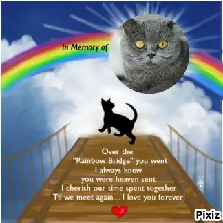 Andachtsbild von Tanja mit Timmy im Herzen 