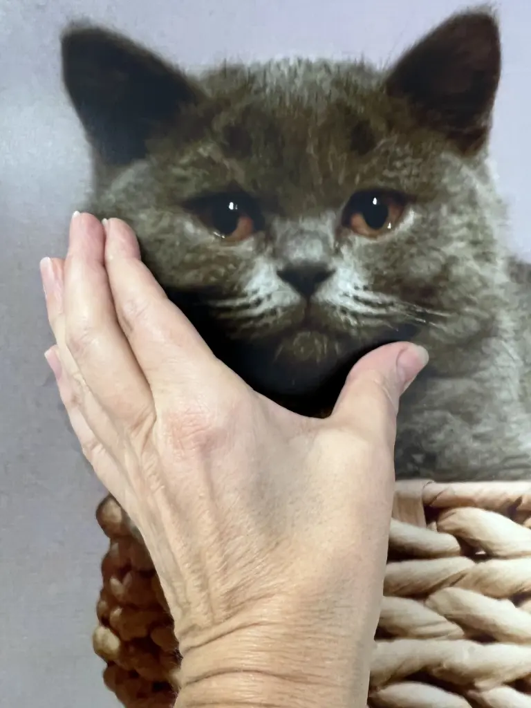 Andachtsbild von Mama an Emma