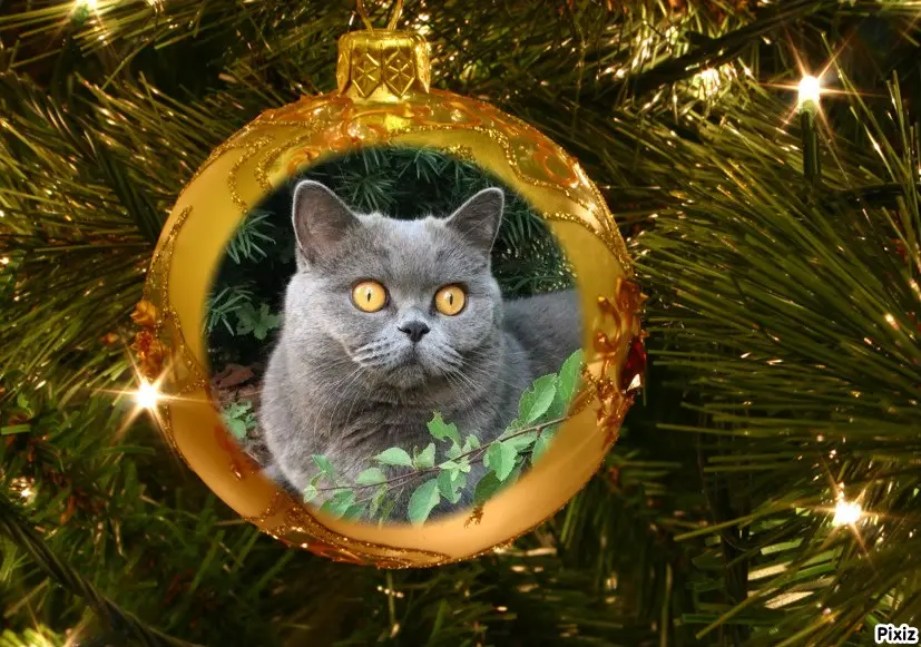 Andachtsbild von Daniela  für Emma ❤️ und Sonja