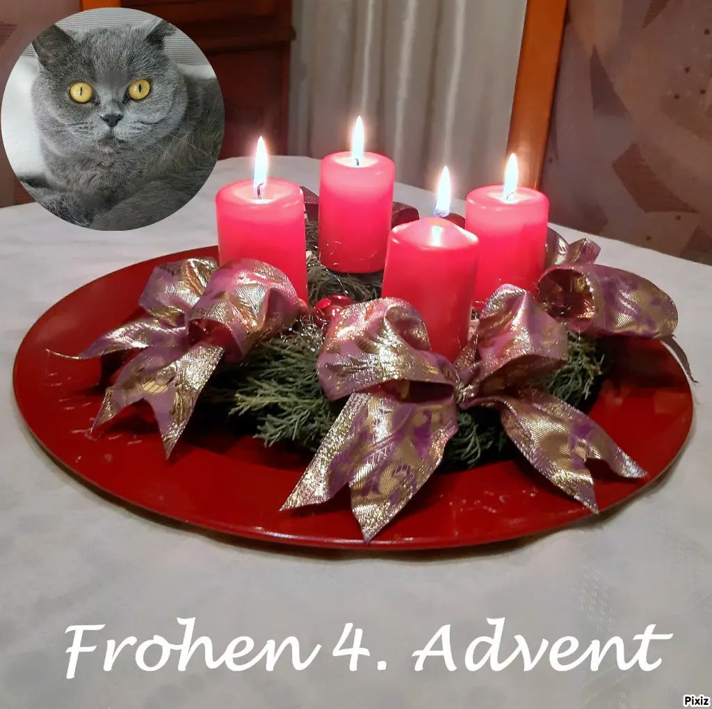 Andachtsbild von Tanja mit Timmy im Herzen 