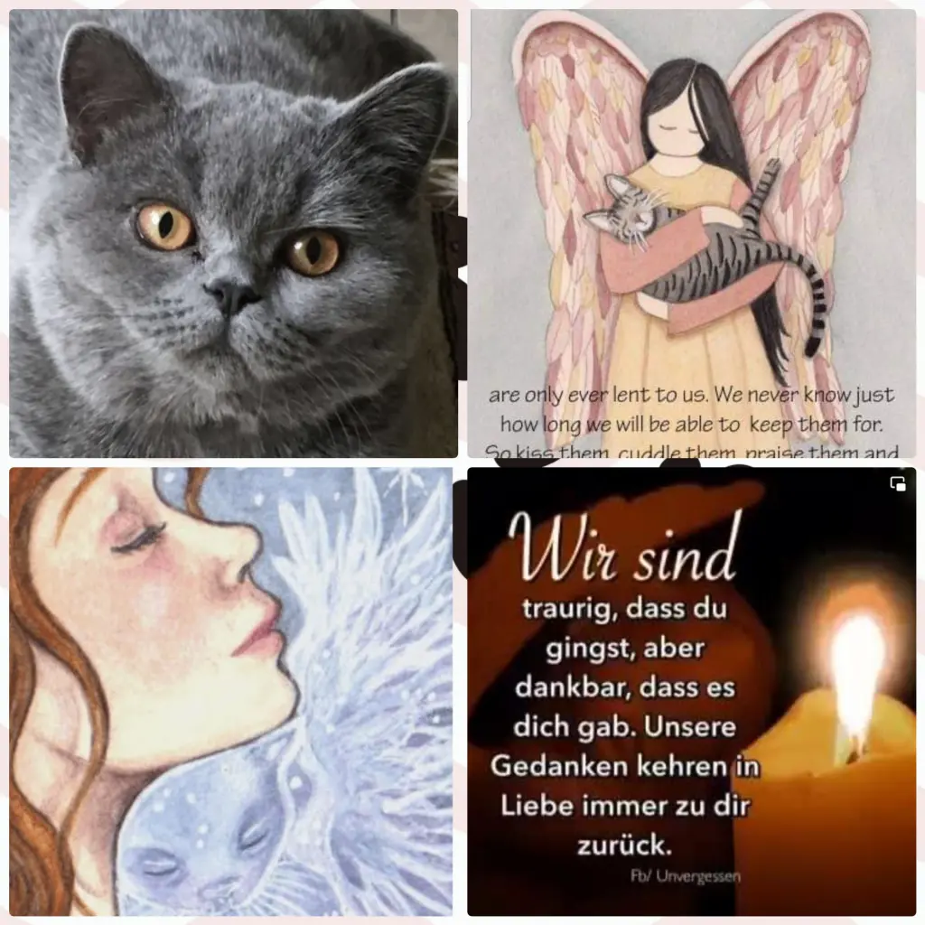 Andachtsbild von Für Sonja♥️mit Emma ♥️