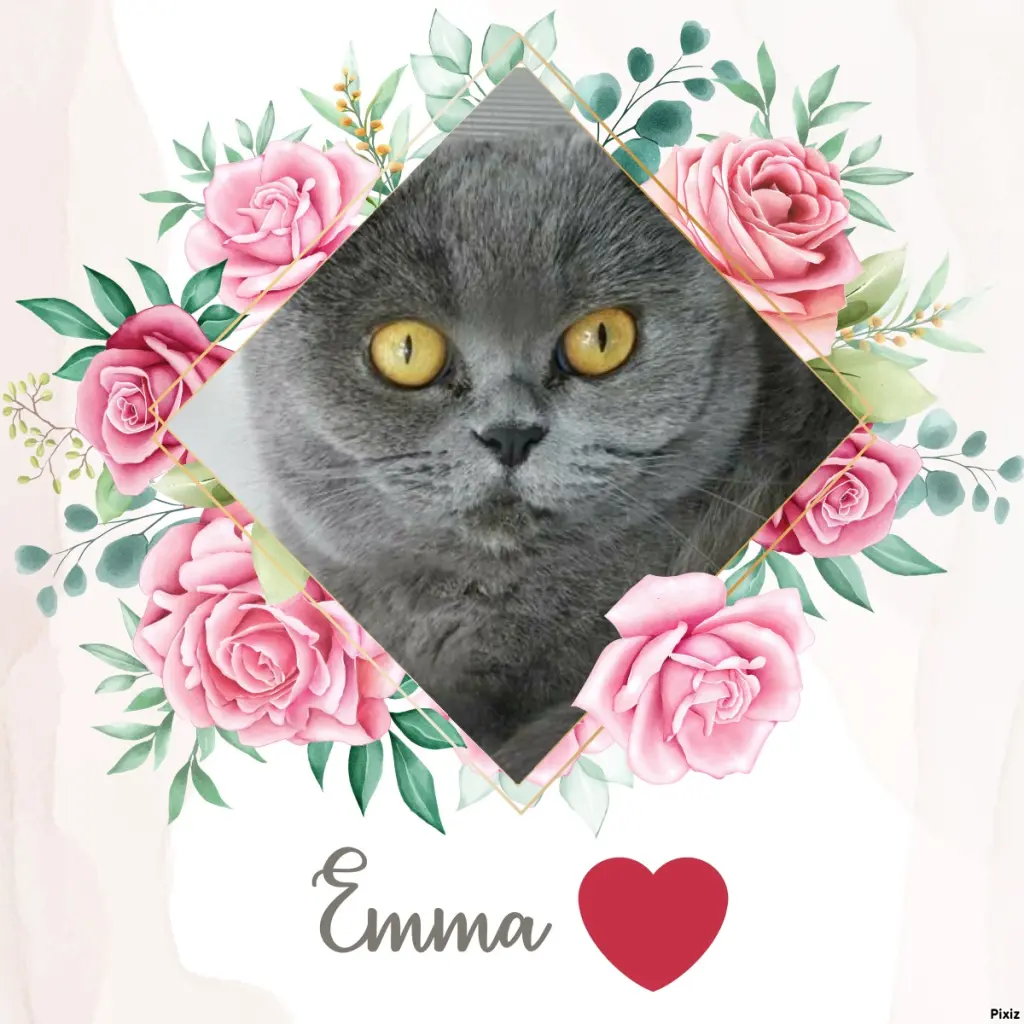 Andachtsbild von Tanja mit Timmy im Herzen 