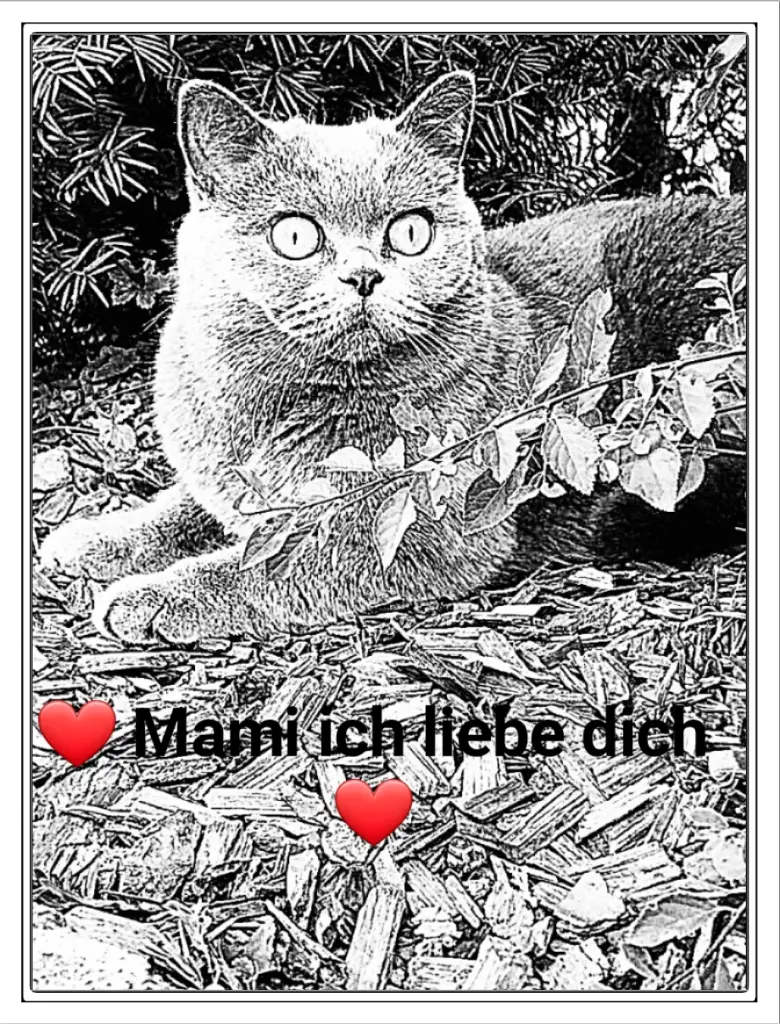 Andachtsbild von Daniela und Pauline für Emma ❤️ und Sonja