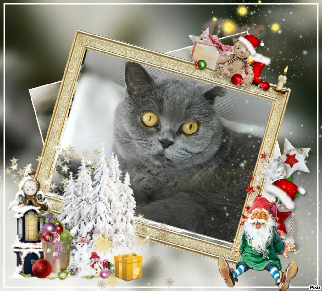 Andachtsbild von Tanja mit Timmy im Herzen 