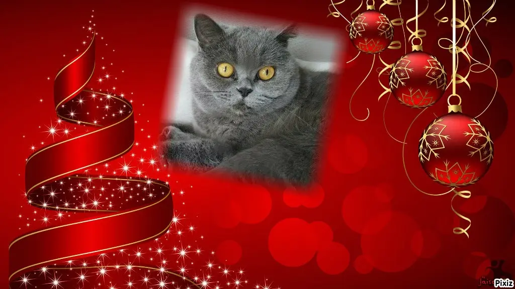 Andachtsbild von Tanja mit Timmy im Herzen 