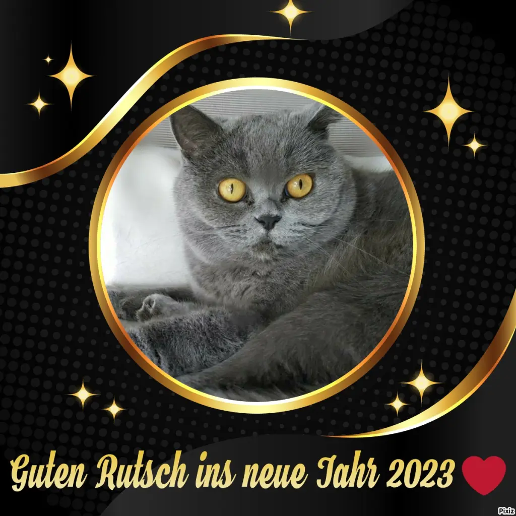 Andachtsbild von Tanja mit Timmy im Herzen 