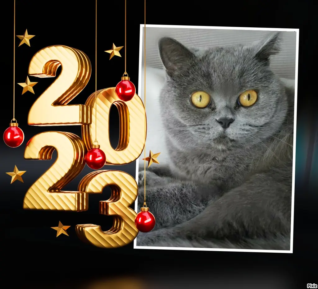 Andachtsbild von Tanja mit Timmy im Herzen 