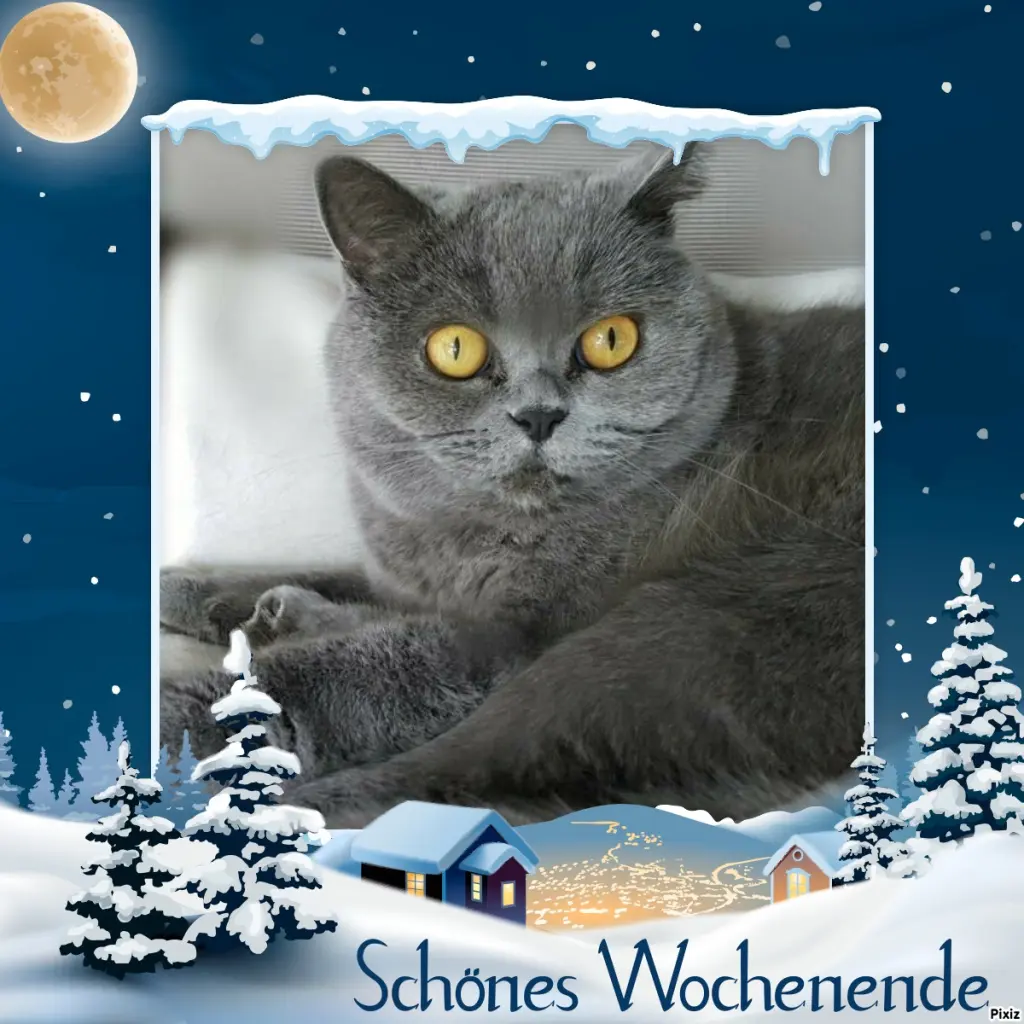 Andachtsbild von Tanja mit Timmy im Herzen 