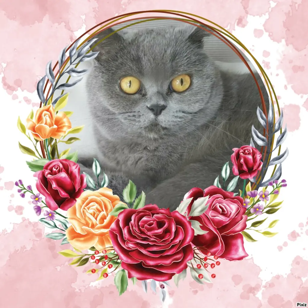 Andachtsbild von Tanja mit Timmy im Herzen 