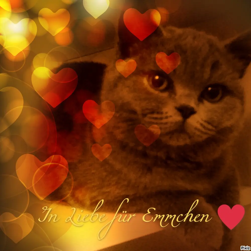 Andachtsbild von Für Dich kleines Engelchen Emma ❤️