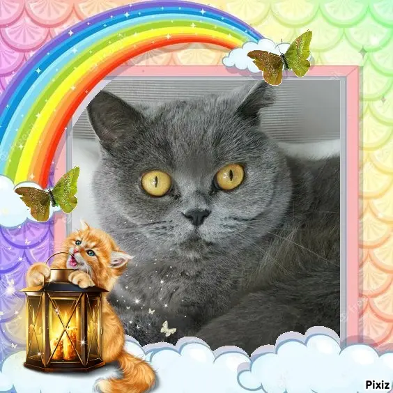 Andachtsbild von Tanja mit Timmy im Herzen 