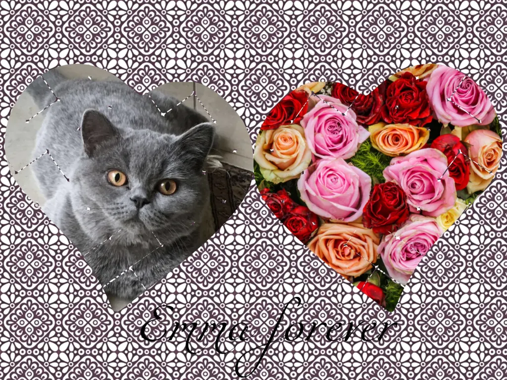 Andachtsbild von Corinna mit Emma, Pummelchen und anderen Sternleine im Herzen