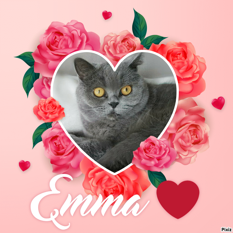 Andachtsbild von Tanja mit Timmy im Herzen 