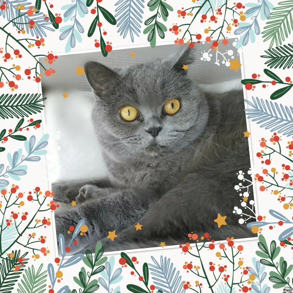 Andachtsbild von Tanja mit Timmy im Herzen 