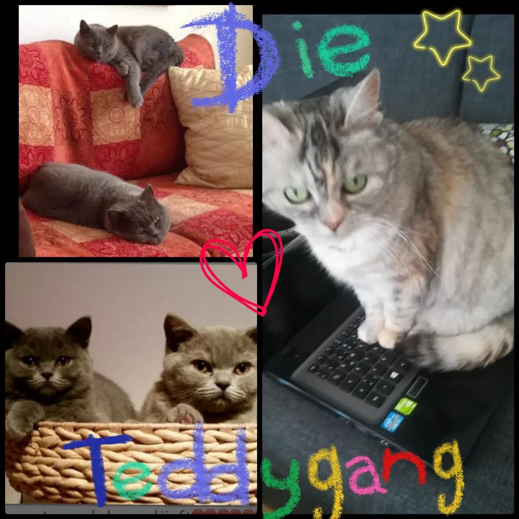 Andachtsbild von Es grüsst die Teddy Gang 