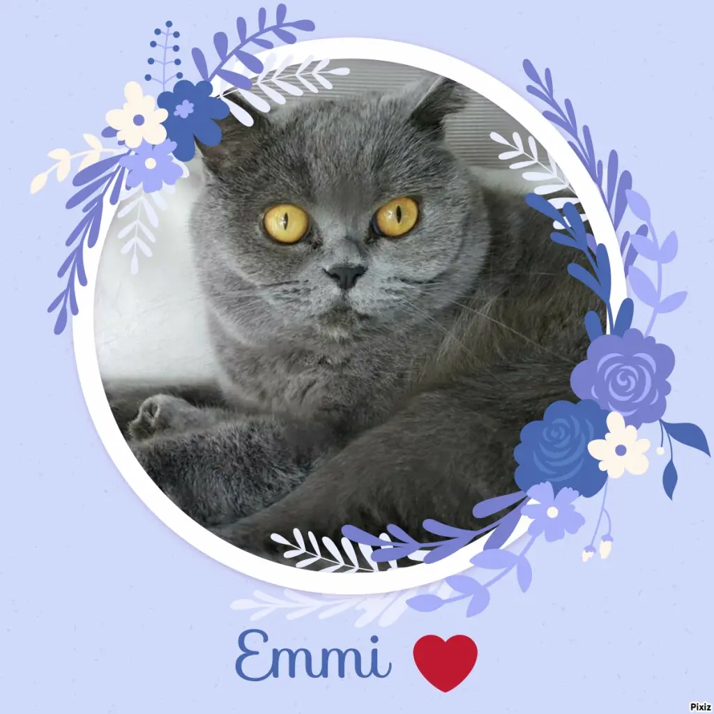 Andachtsbild von Tanja mit Timmy im Herzen 