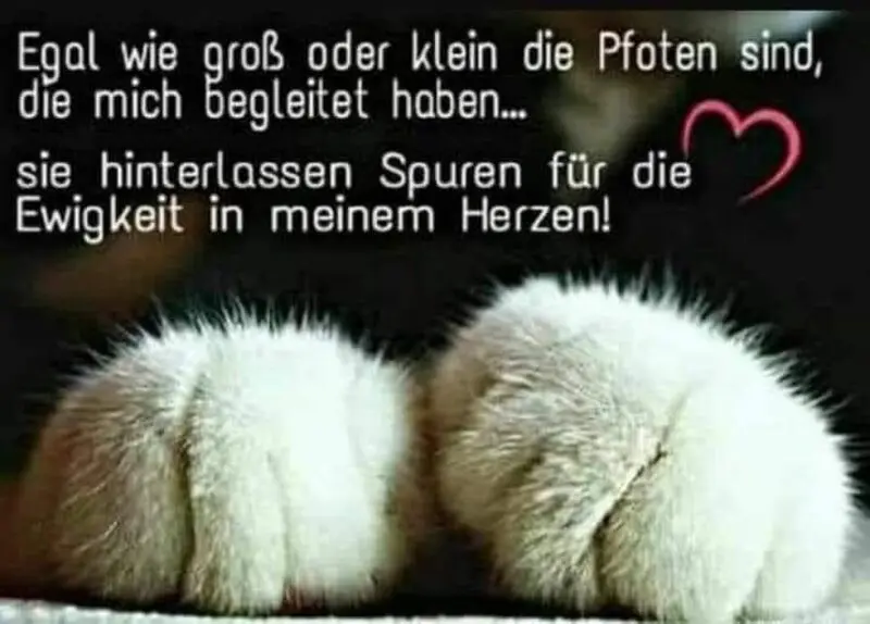 Andachtsbild von Von Dodo mit Miri ❤️ und Snoopy ❤️